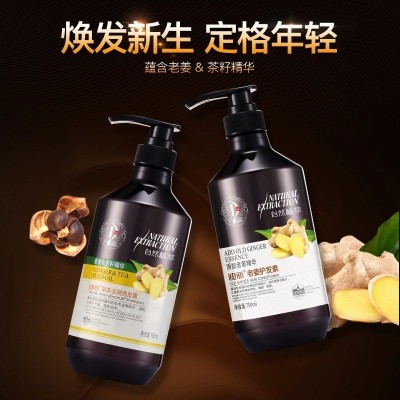 厂家批发老姜王植物生姜去屑止痒洗发水补水柔顺护发素团购套装图3