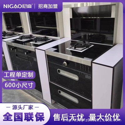 厂家供应集成灶工程定制小尺寸单头集成灶电磁炉大吸力集成灶批发图2