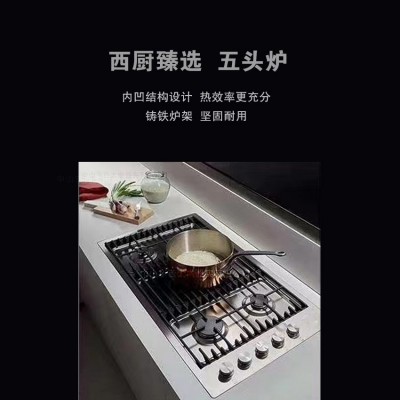 外贸出口跨境厨房电器嵌入炉具供应多头出品燃气炉多种材料及图4