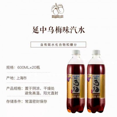 延中乌梅汽水600ml*20瓶整箱碳酸饮料酸爽防暑饮品 江浙沪皖包邮图2