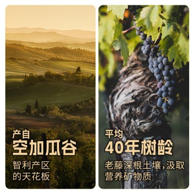 傲鱼智利原装原瓶进口红酒干红葡萄酒水果酒批发代理整箱送礼 6瓶 48图3