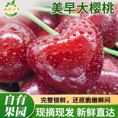 烟台美早大樱桃国产车厘子现摘现发新鲜水果包邮空运整箱批发 1箱 172图2