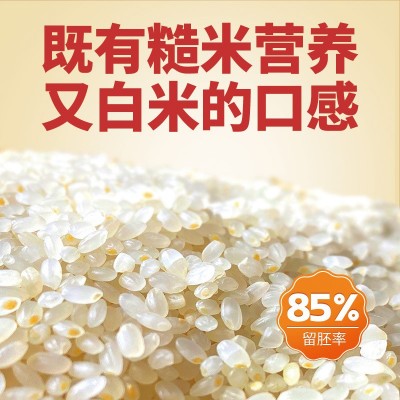 稻皇妃大米鲜胚芽米5斤一袋保留大米胚芽粳米谷物米搭配厂家批发图3