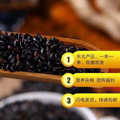 掌中禾 东北大米粗粮黑米2.5kg五谷杂粮紫米5斤煮粥黑米饭粥米图2
