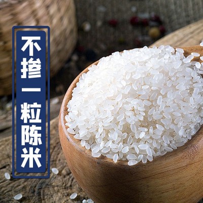 东北大米大当季新米上市群艳寒地珍珠米10斤装一件代发批发包邮图3