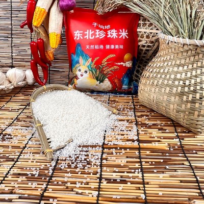 东北珍珠米5斤装圆粒东北大米珍珠米5斤东北特产代发现货包邮图2