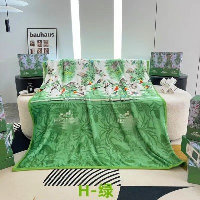 外贸新品潮牌毛毯金貂绒法兰绒大牌办公室午睡毯休闲加厚礼品毯子图2