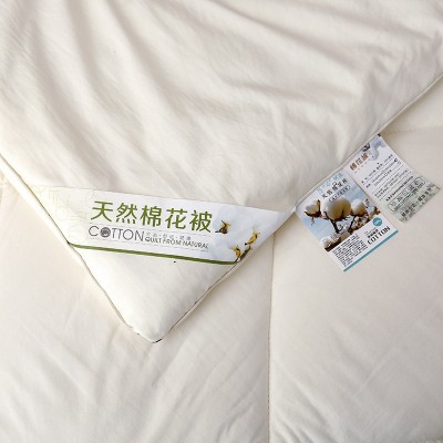 100%新疆纯棉花被子双人单人棉被被芯棉絮春秋被宿舍加厚保暖冬被图2