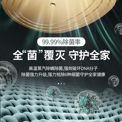 跨境手持挂烫机网红干湿两用便携熨烫机家用小型水蒸雾电熨斗代发图2