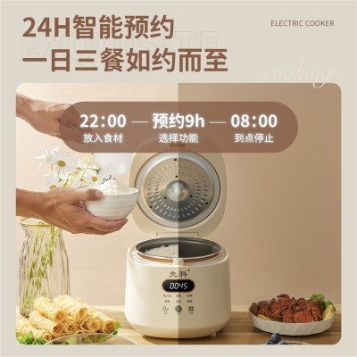 外贸新款电饭煲智能2L迷你电饭煲家用小型多功能电饭煲110V电饭煲图4
