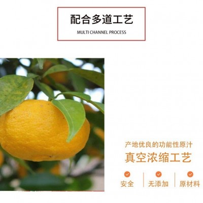 日本进口柚子浓缩汁 日本柚提取物 日本柚原浆原汁浓缩果汁批发图5