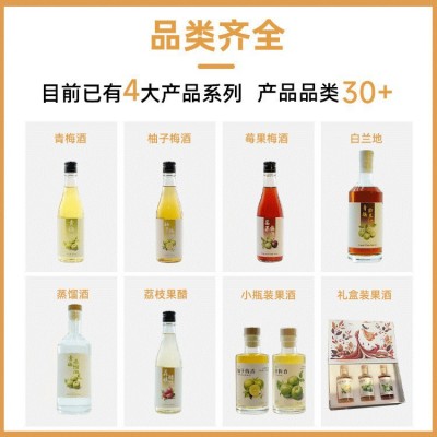荔枝果醋果饮鲜荔枝水果天然发酵原醋果味饮料果蔬汁快手抖音代发图4