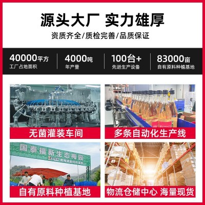 蜜桃乌龙梅酒果酒整箱批发青梅酒茶酒微醺低度酒现货批发一件代发图4