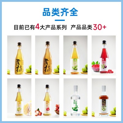小瓶青梅酒微醺9%vol柚子多口味水果酒女士果味酒伴手礼批 发代发图3