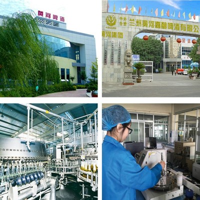 厂家批发整箱500ml*12瓶精酿青稞酒送礼聚餐酒水夜场酒吧KTV啤酒图5