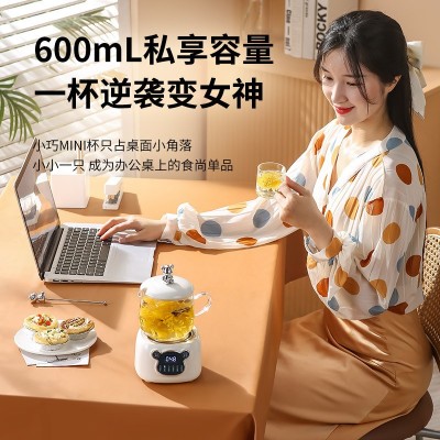 礼盒套装多功能养生壶家用办公室迷你小型花茶壶mini烧水壶全自动图4