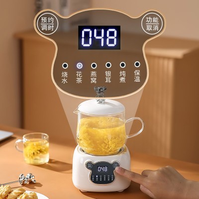 礼盒套装多功能养生壶家用办公室迷你小型花茶壶mini烧水壶全自动图2