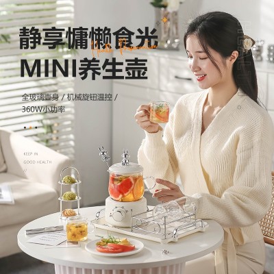 多功能养生壶家用办公室迷你小型花茶壶mini烧水壶煮茶壶礼盒套装图3