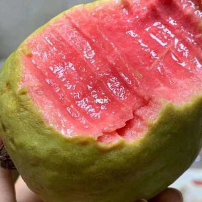 广东胭脂红心芭乐红心番石榴软糯新鲜水果红心芭乐一件代发图2