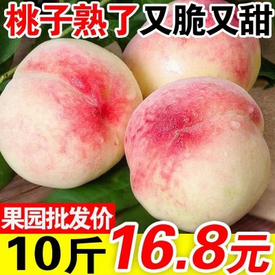 水蜜桃图5