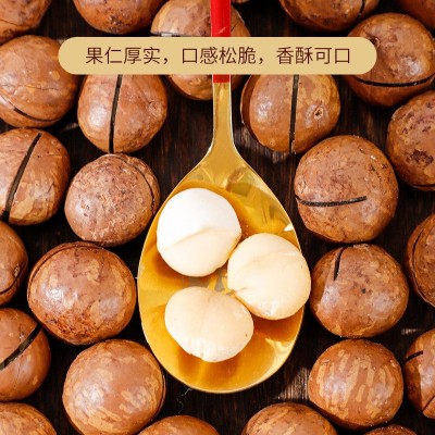 小罐装夏威夷果批发新货大颗粒奶香味坚果网红休闲小零食图4