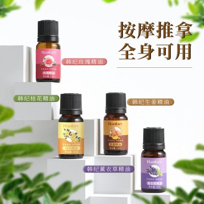 韩纪艾草植物精油10ml生姜玫瑰精油美容院刮痧按摩复方精油批发图4