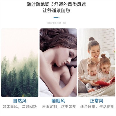 骆驼电风扇家用落地扇学生宿舍遥控摇头立式落地电扇定时转页风扇图3