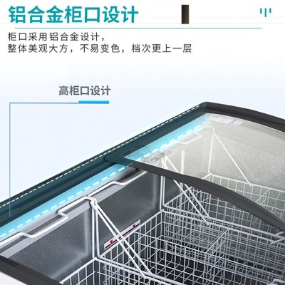 冰尔玛家商两用冰柜超市冰淇淋雪糕柜弧面卧式岛柜冷冻柜展示柜图4