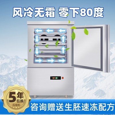 急冻水饺速冻机商用-40℃海鲜急冻柜超低温冰柜推车式包子 速冻柜图4