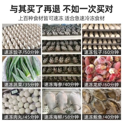 零下45度-80度速冻柜商用急冻包子速冻机小型急速冷冻柜冰柜图2