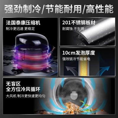 速冻柜商用-80℃零下45度冷冻设备速冻机立式急冻无霜液 氮机雪柜图3