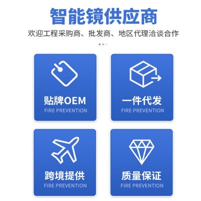 半导体小冰箱面膜化妆品冷藏镜柜触屏壁挂小型智能美妆专用冰箱图2