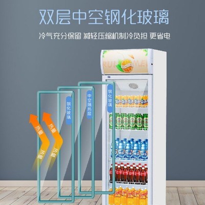饮料啤酒展示柜商用冷藏保鲜柜蔬菜水果立式冰柜便利店单双门冰箱图3