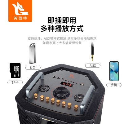 多功能歌词显示k歌音响便携式户外蓝牙音箱家庭KTV直播双麦音响图3