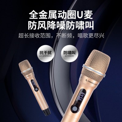 多功能歌词显示k歌音响便携式户外蓝牙音箱家庭KTV直播双麦音响图4