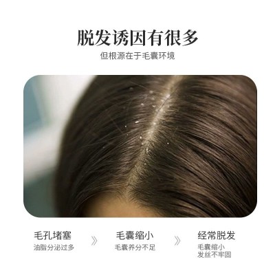 菲丝宜防脱育发洗发水洗发露侧柏叶草本强韧发根控油去屑清爽舒适图3