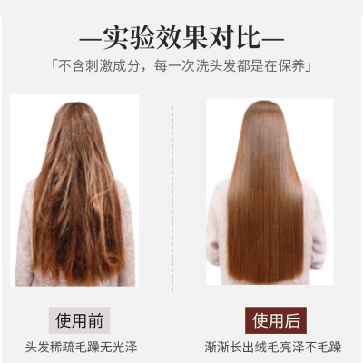 菲丝宜防脱育发洗发水洗发露侧柏叶草本强韧发根控油去屑清爽舒适图4