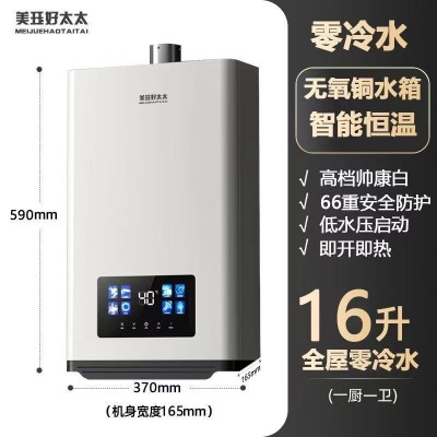零冷水燃气热水器家用天然气洗澡恒温强排式速热水器16升现货批发图2