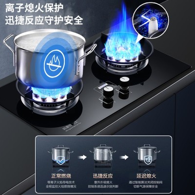 燃气灶家用天燃气灶双灶台嵌两用熄火保护定时猛火灶具煤 气灶批发图4