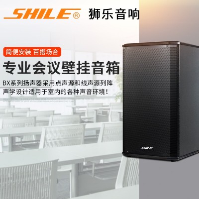 专业会议室音响 狮乐BX-108培训教室家用背景音乐壁挂音箱设备图2