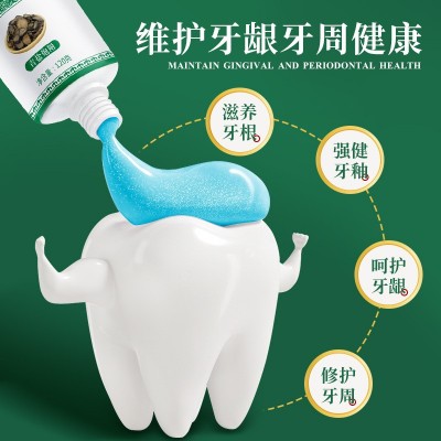 青盐炮附子牙膏120g倪海厦推荐刷牙膏中药固齿防蛀护龈清新泡芙子图2