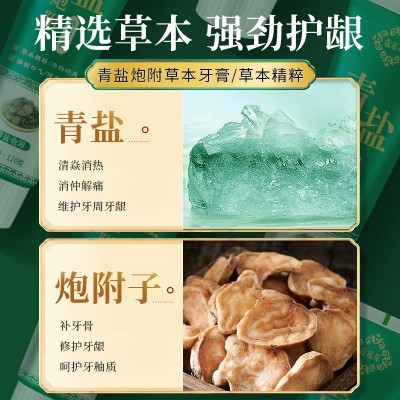 青盐炮附子牙膏120g倪海厦推荐刷牙膏中药固齿防蛀护龈清新泡芙子图3