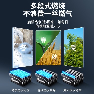 燃气热水器16L升家用强排直流变频天然气煤气热水器 厂家批发图4