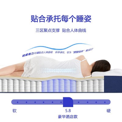 跨境卷包盒子记忆棉床垫酒店民宿独立弹簧可压缩家用乳胶床垫批发图3