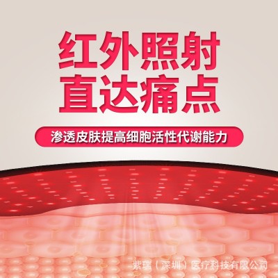 ziree跨境亚马逊红关节带发热敷护腰电加热光疗理疗带LED24 pcs图2