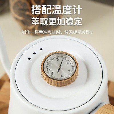 细长嘴电热家用烧水壶泡茶专用热水壶钛合金色电热水壶电 咖啡壶图4