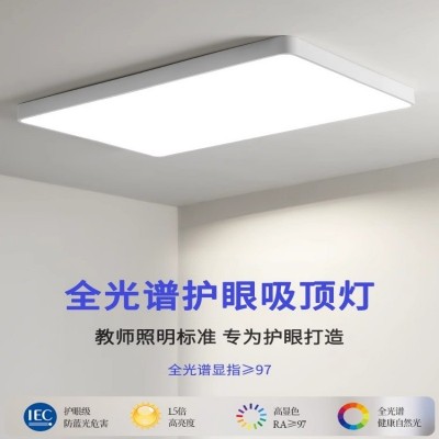 超薄led吸顶灯北欧客厅灯具家用简约现代厨房阳台房间卧室灯批发图2