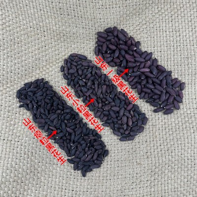 黑玉珍山东黑花生米大粒去壳生的原味黑花生 50斤散装图5
