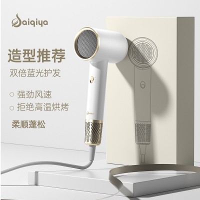 赛琦雅跨境新款网红吹风机家用蓝光离子大功率发廊酒店电吹风批发图2