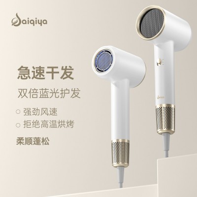 赛琦雅跨境新款网红吹风机家用蓝光离子大功率发廊酒店电吹风批发图3